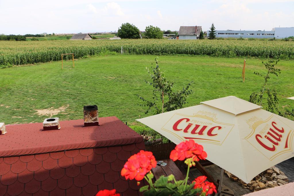 Hanu Lui Gica Spa Satu Mare Exterior photo